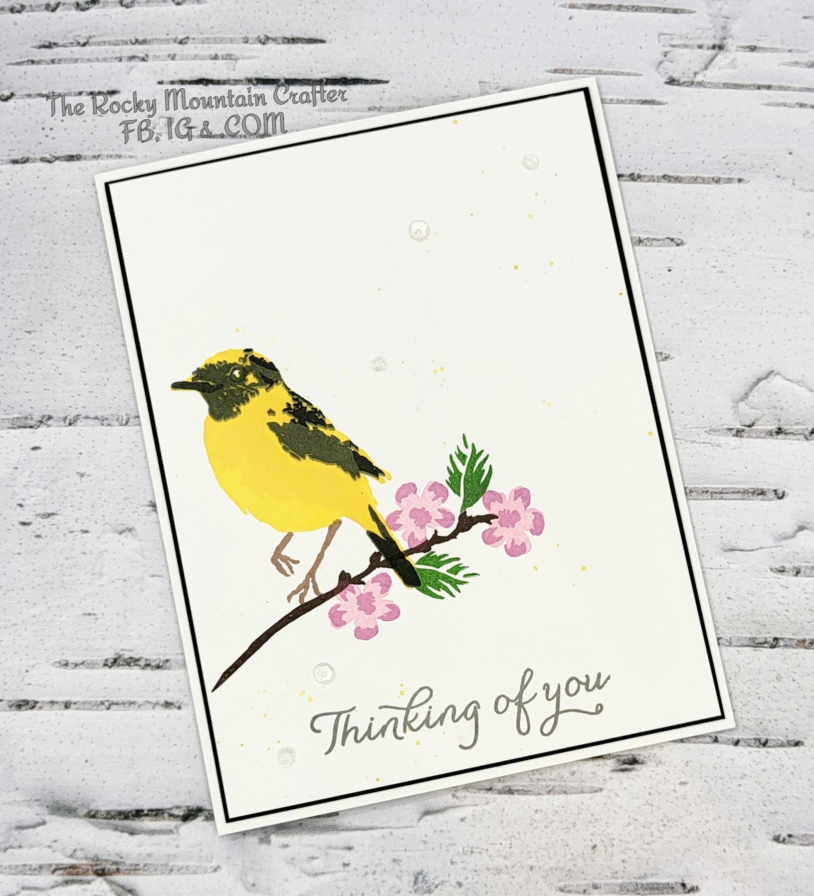 Goldfinch and Cherry Tree Blossoms